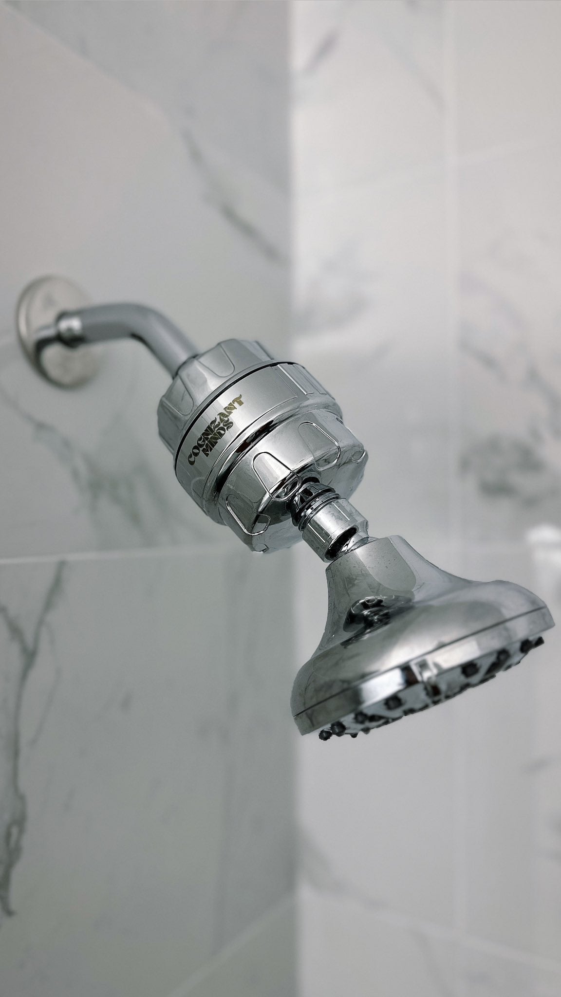 Silver Cognizant Minds 22 Stage Shower Filter