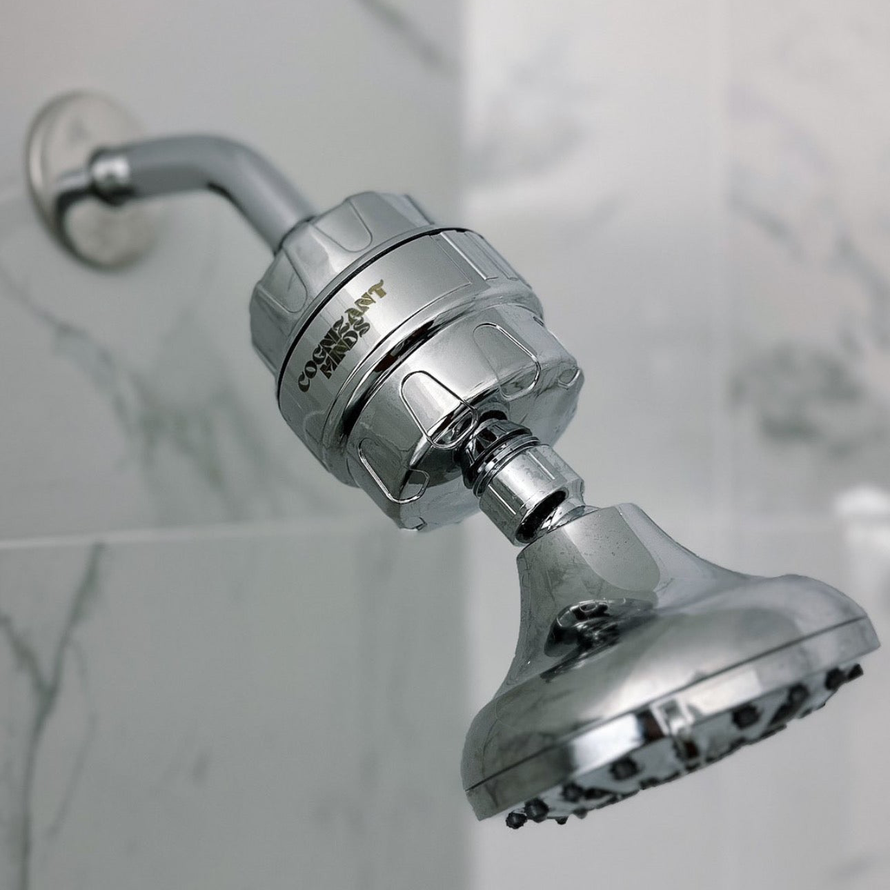 Silver Cognizant Minds 22 Stage Shower Filter